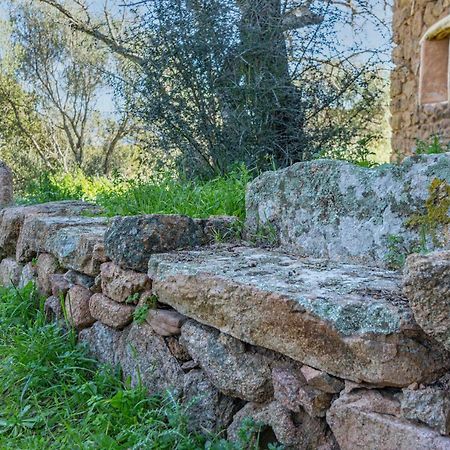 Le Case Di Mara - Appartamenti Tipici "Stazzo Giovannareddu" Porto San Paolo  Exteriér fotografie