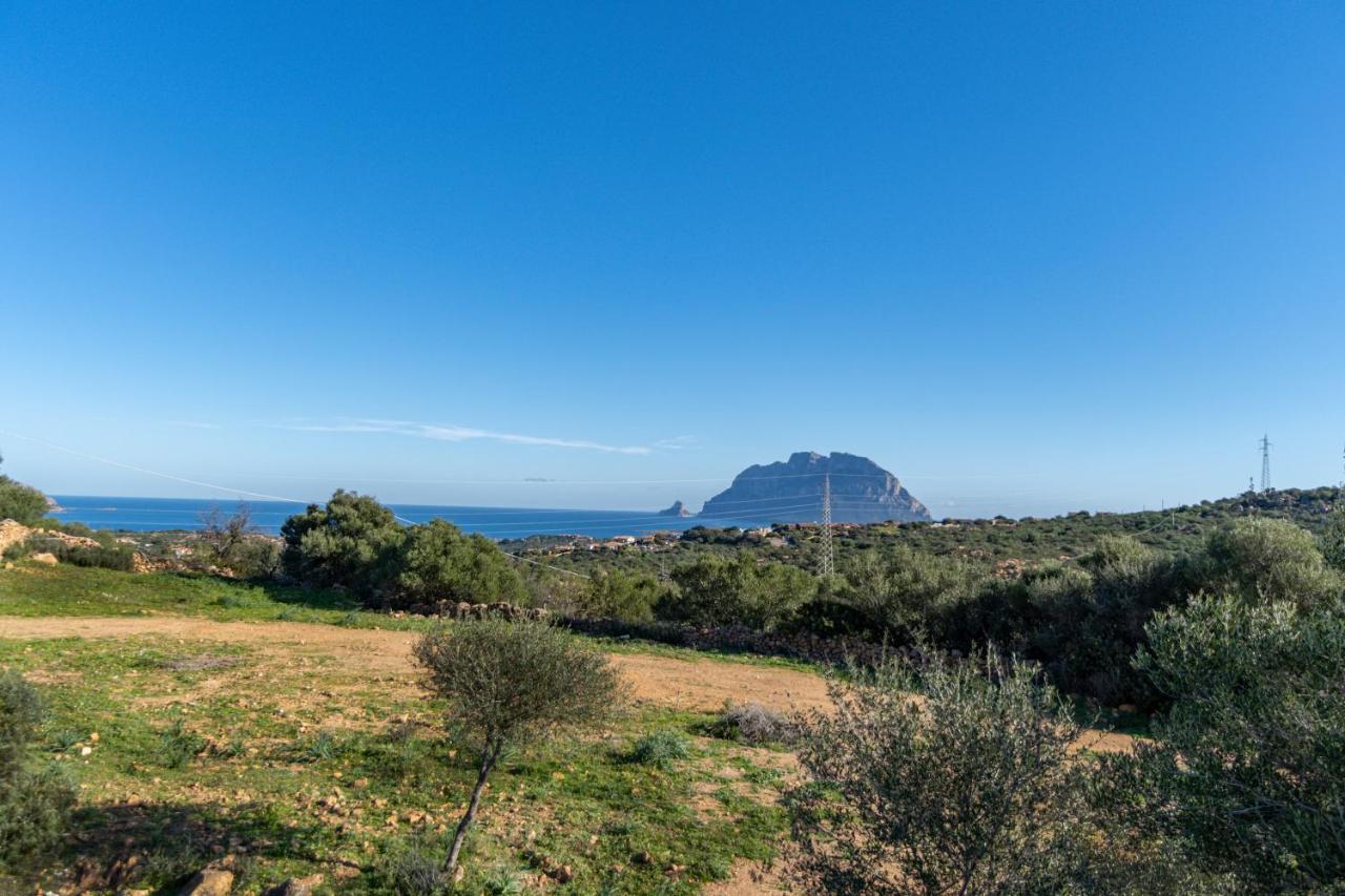 Le Case Di Mara - Appartamenti Tipici "Stazzo Giovannareddu" Porto San Paolo  Exteriér fotografie